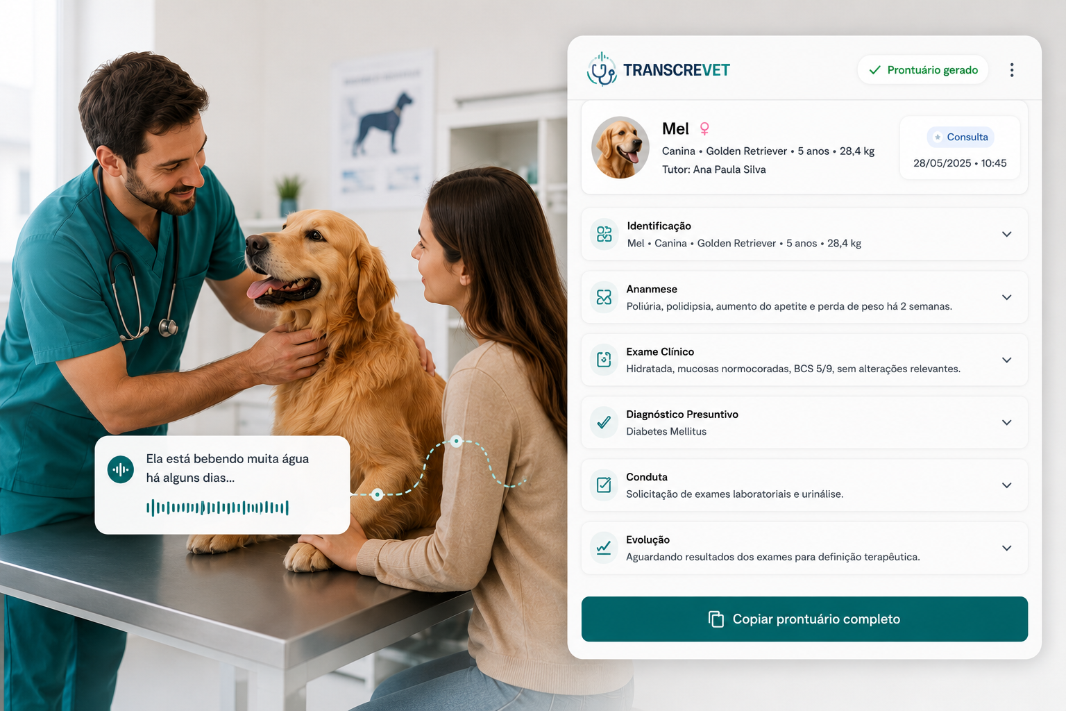 TranscreVet — plataforma veterinária completa com prontuários inteligentes